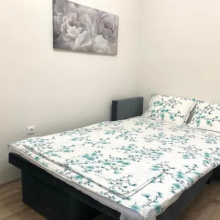 Vn 2